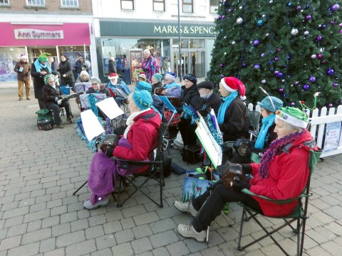 [Error! Image IMGP3634.JPG is not available.]