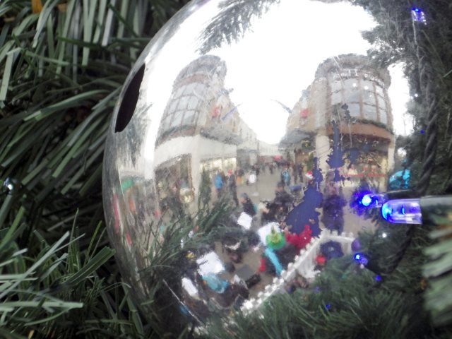 [Error! Image IMGP3648.JPG is not available.]