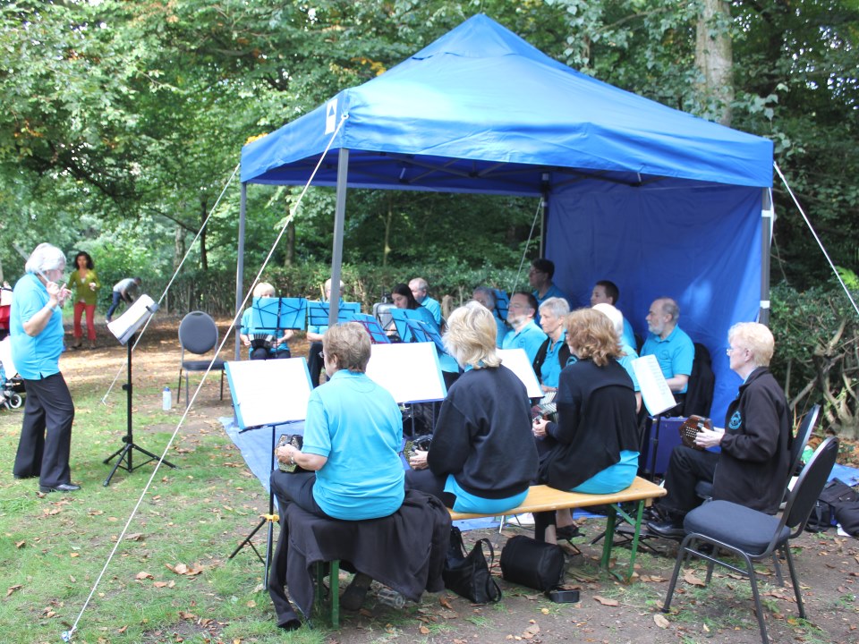 [Error! Image IMG_6318.JPG is not available.]