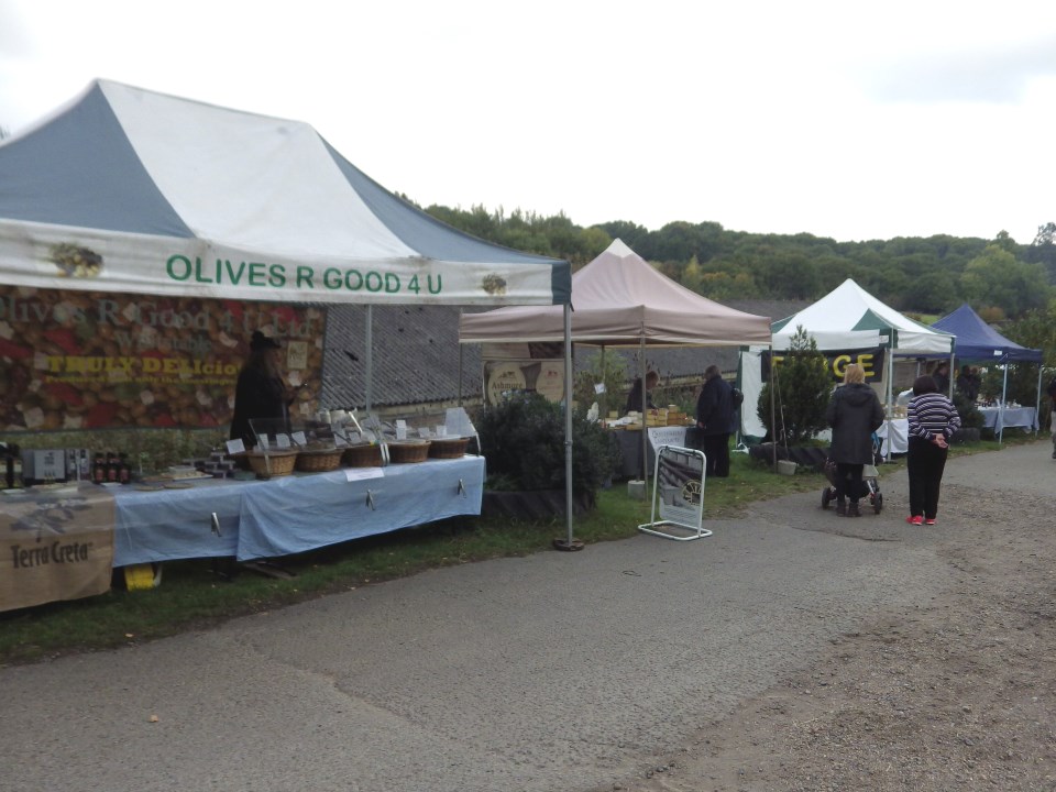 [Error! Image IMGP6087.JPG is not available.]