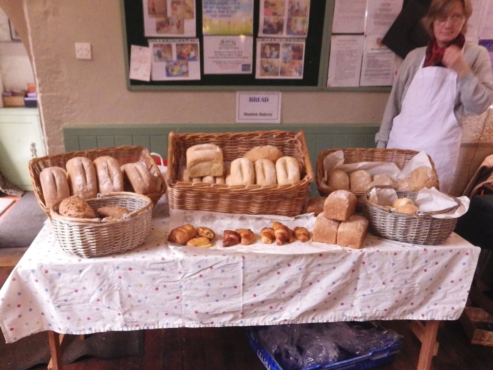 [Error! Image IMGP6155.JPG is not available.]