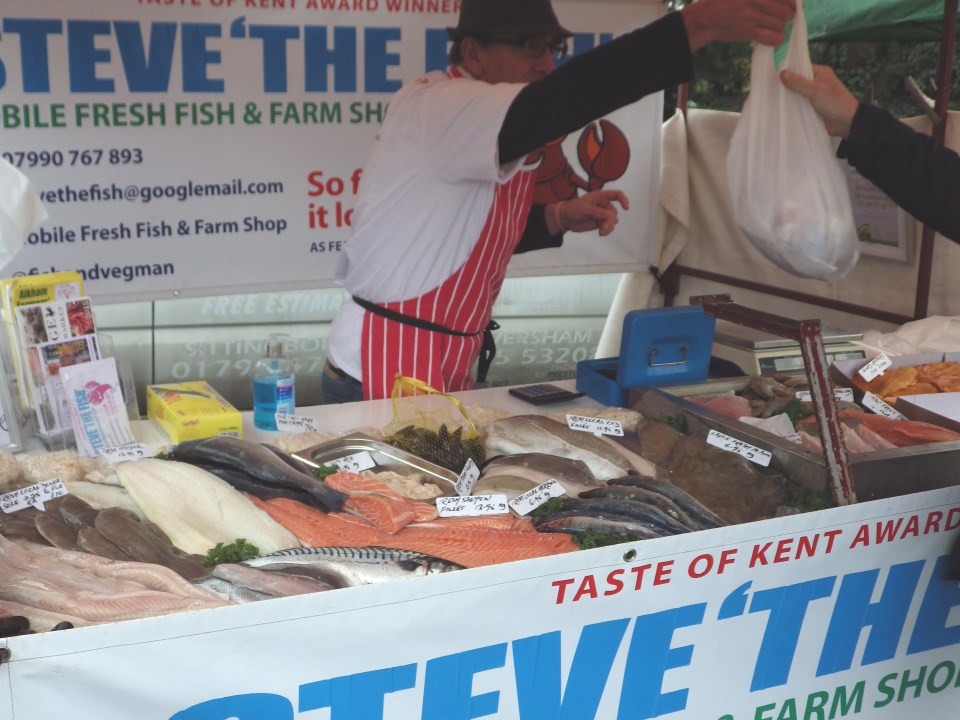 [Error! Image IMGP6160.JPG is not available.]