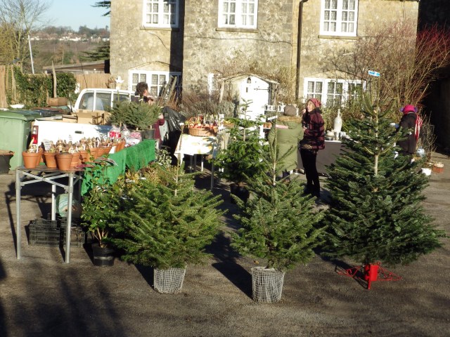 [Error! Image IMGP2800.JPG is not available.]