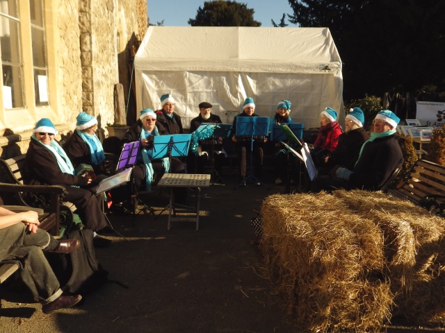 [Error! Image IMGP2803.JPG is not available.]