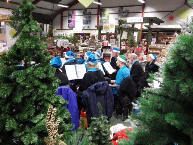 [Error! Image IMGP5066.JPG is not available.]