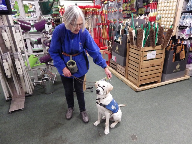 [Error! Image IMGP6342.JPG is not available.]