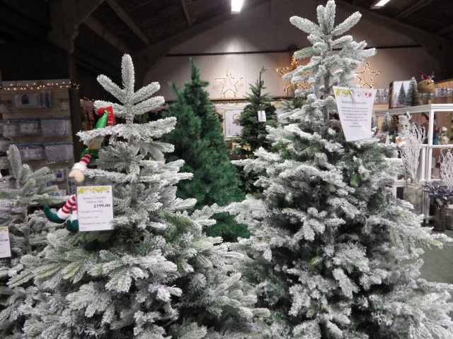 [Error! Image IMGP6345.JPG is not available.]