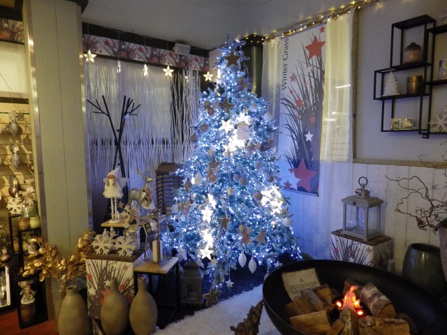 [Error! Image IMGP6346.JPG is not available.]