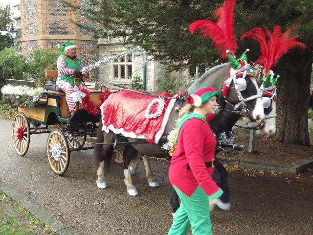 [Error! Image IMGP6358.JPG is not available.]