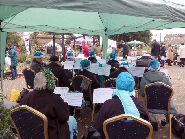 [Error! Image IMGP8374.JPG is not available.]