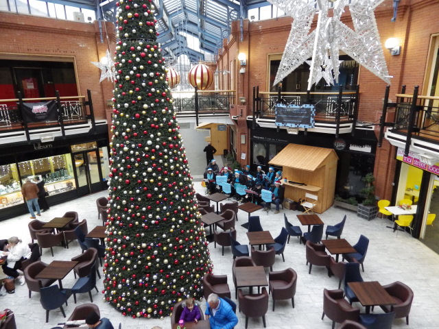 [Error! Image IMGP8400.JPG is not available.]