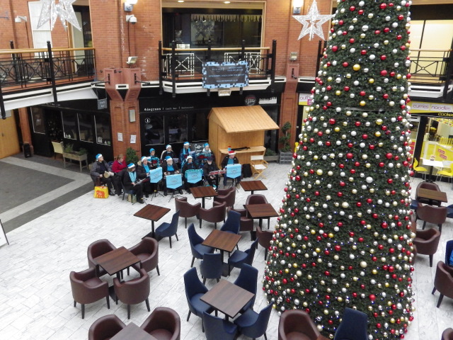 [Error! Image IMGP8403.JPG is not available.]