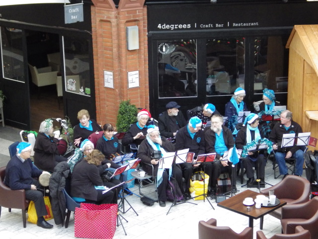 [Error! Image IMGP8408.JPG is not available.]