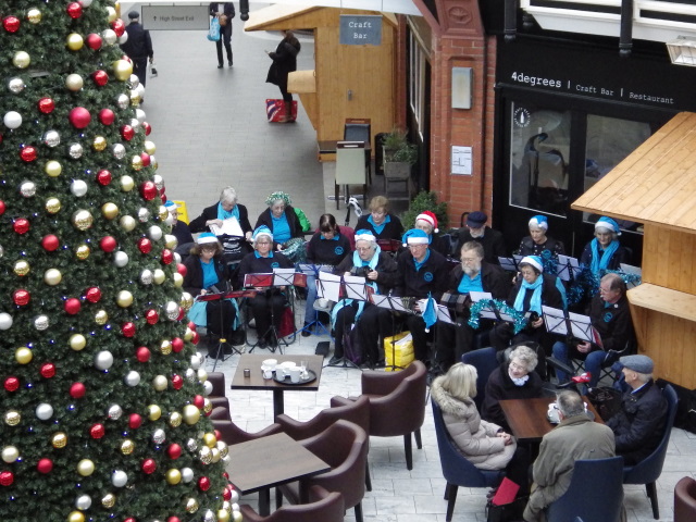 [Error! Image IMGP8411.JPG is not available.]