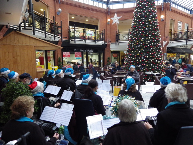 [Error! Image IMGP8418.JPG is not available.]