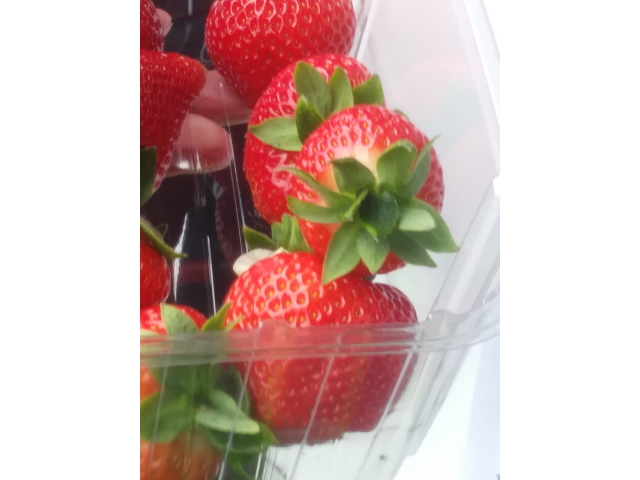 [Error! Image 20220605_03.jpg is not available.]