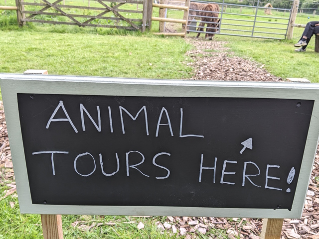 [Error! Image PXL_20230513_114520192.jpg is not available.]